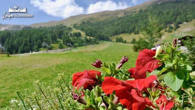 Baita Epi Cusini By Livigno Accomodation מראה חיצוני תמונה